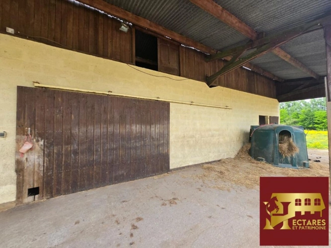Photos 7 - Équestre - Propriété équestre, 220 m2, 6 chambres, 3,5 hectares avec carrière