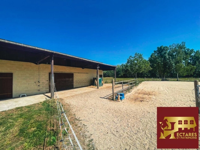 Photos 10 - Équestre - Propriété équestre, 220 m2, 6 chambres, 3,5 hectares avec carrière