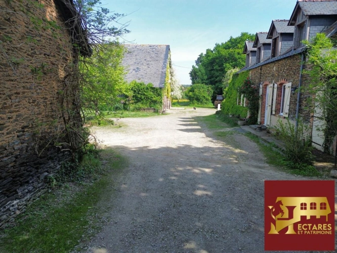 Photos 9 - Équestre - Propriété équestre, 3 maisons, 10 hectares