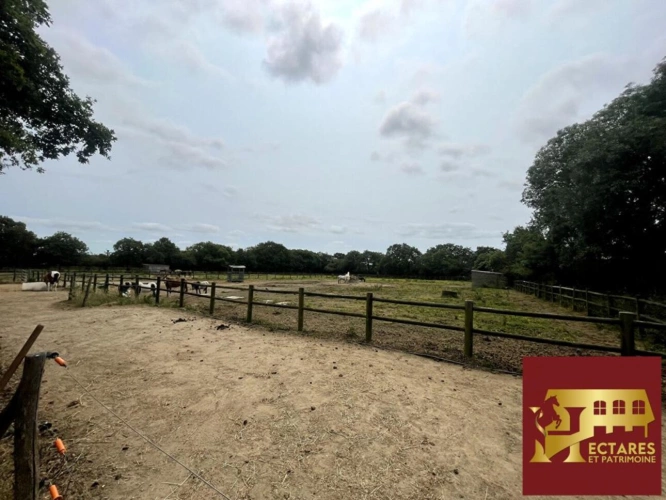 Photos 3 - Équestre - Centre équestre en activité sur près de 8 hectares