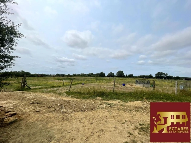 Photos 9 - Équestre - Centre équestre en activité sur près de 8 hectares