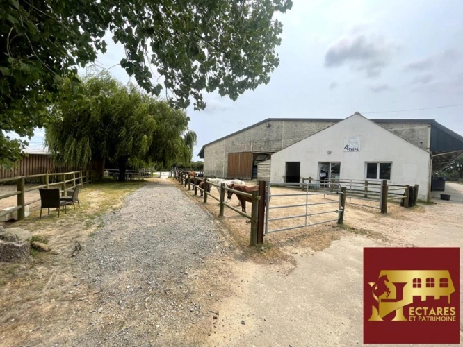 Photos 10 - Équestre - Centre équestre en activité sur près de 8 hectares