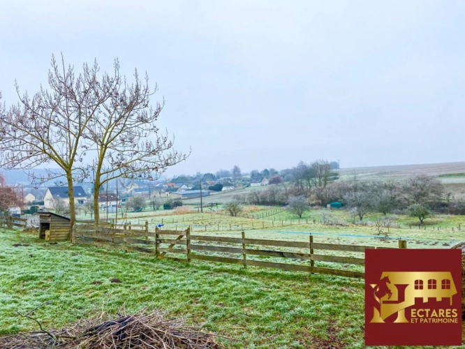 Photos 5 - Équestre - Maison avec terrain de 8000m2 !