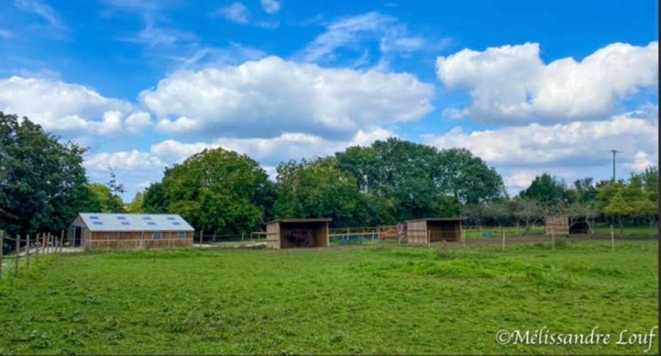 Photos 3 - Équestre - Ecurie et terrain constructible