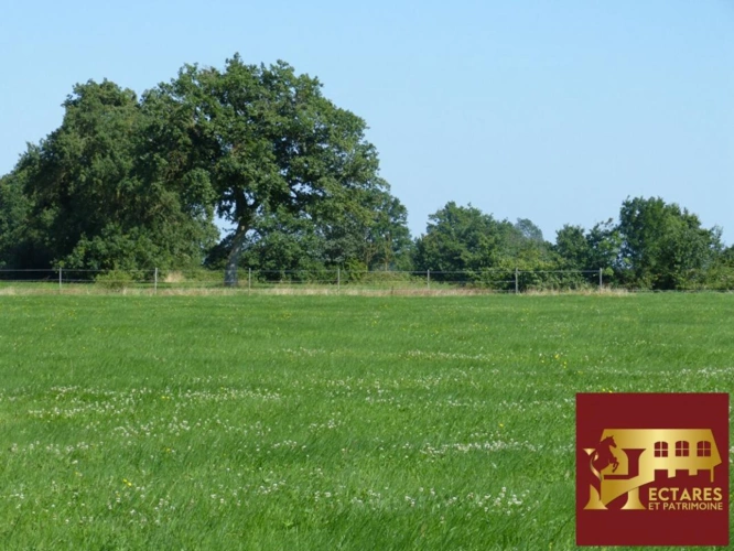 Photos 2 - Équestre - Longère de 240 m2 avec 8 Hectares