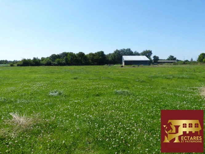 Photos 3 - Équestre - Longère de 240 m2 avec 8 Hectares