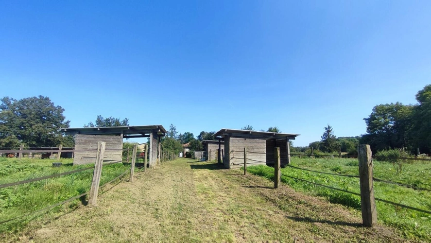 Photos 10 - Équestre - Propriété équestre 14 hectares