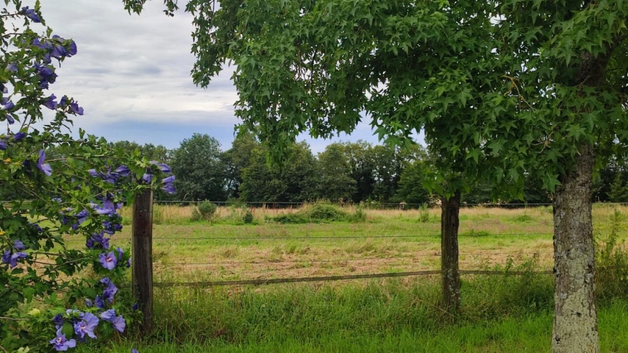 Photos 11 - Équestre - Propriété équestre 14 hectares