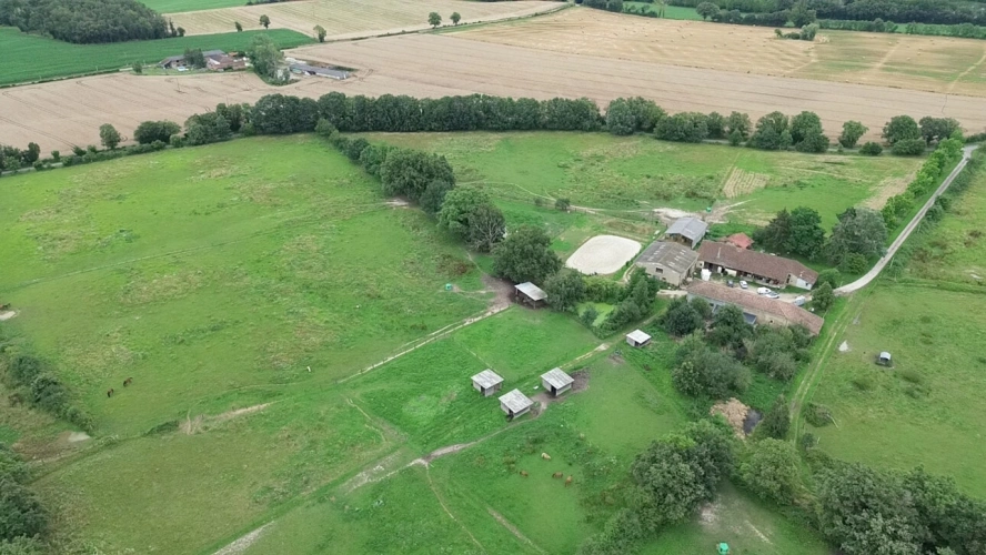 Photos 18 - Équestre - Propriété équestre 14 hectares