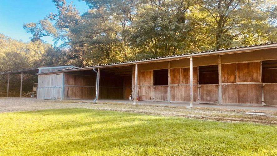 Photos 3 - Equestrian - Maison et installations équestre