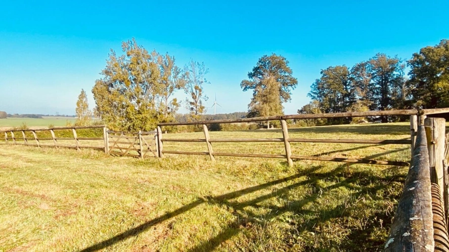 Photos 4 - Equestrian - Maison et installations équestre