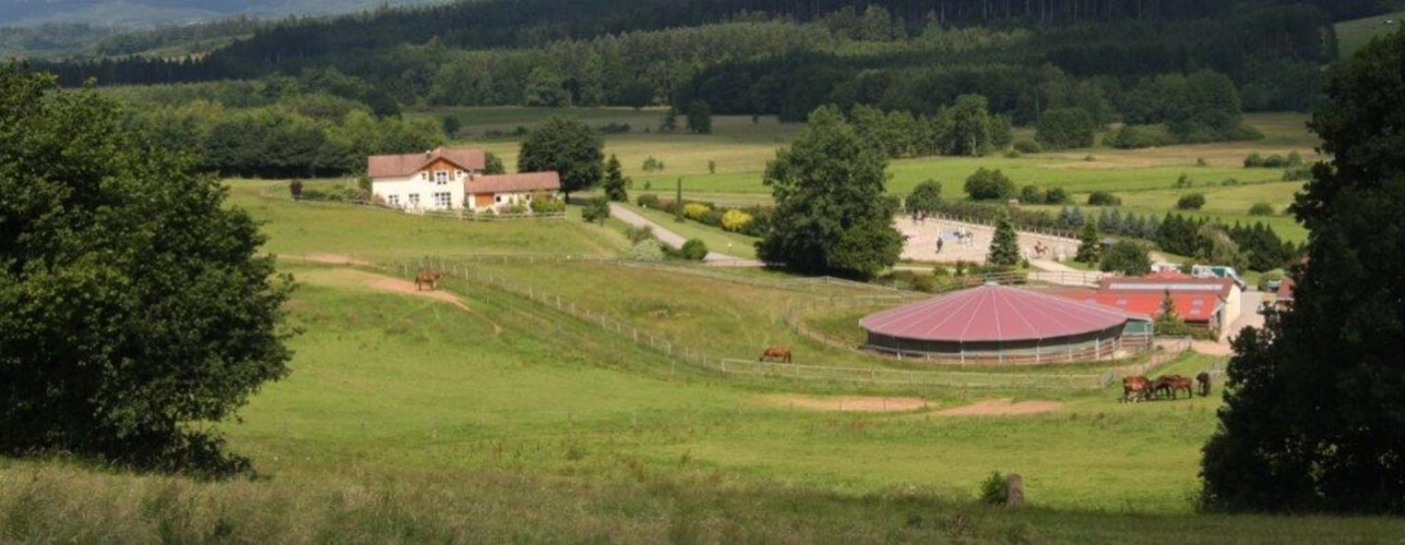 Photos 1 - Équestre - Domaine équestre d'exception (88)