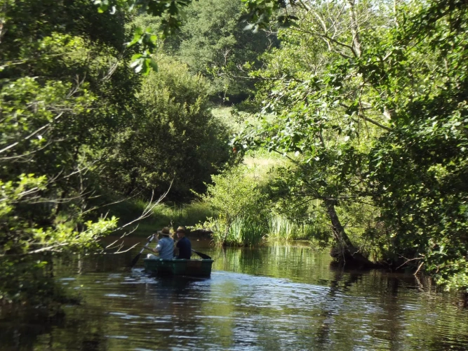 Photos 3 - Touristique - GITES AU COEUR DU PARC REGIONAL DU PERIGORD SUR 6 HA
