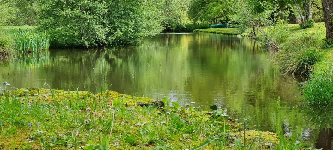 Photos 5 - Touristique - GITES AU COEUR DU PARC REGIONAL DU PERIGORD SUR 6 HA