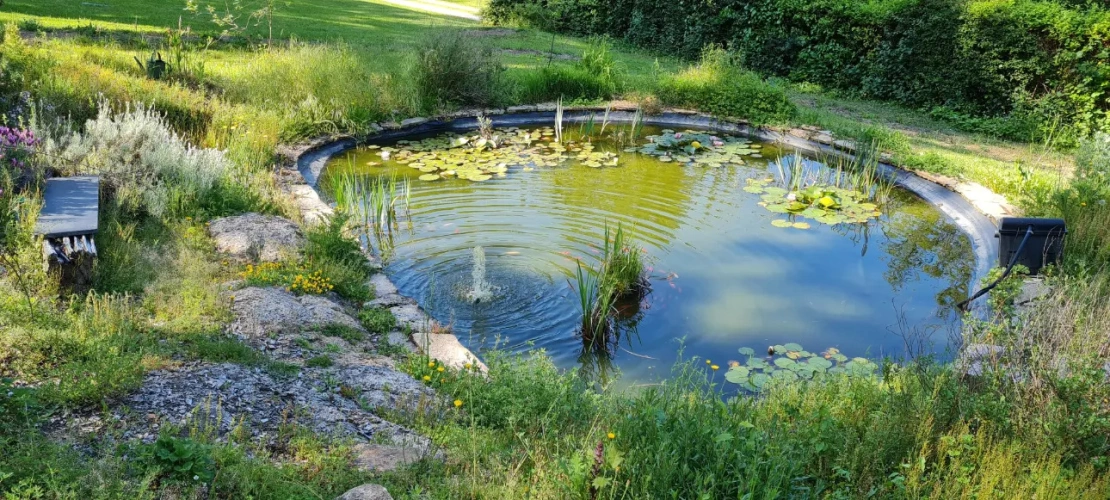 Photos 8 - Touristique - GITES AU COEUR DU PARC REGIONAL DU PERIGORD SUR 6 HA