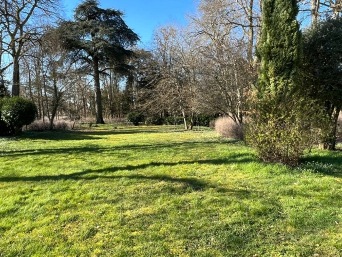 Photos 20 - Prestige - Propriete, Chaingy à l'ouest d'Orléans, Parc de 5 061 m²