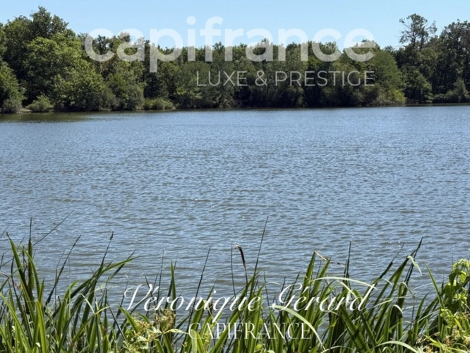 Photos 4 - Forestière - Propriété Naturel de Loisirs avec Maison d'habitation ,Chalets et Lac sur plus de 7 hectares entièrement clos