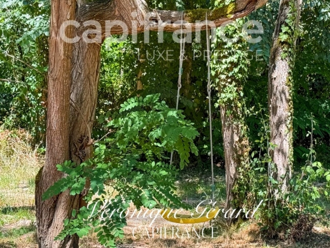 Photos 37 - Forestière - Propriété Naturel de Loisirs avec Maison d'habitation ,Chalets et Lac sur plus de 7 hectares entièrement clos