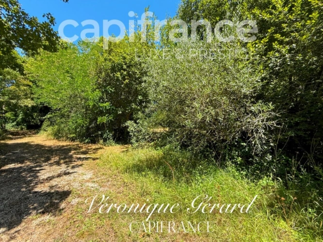 Photos 38 - Forestière - Propriété Naturel de Loisirs avec Maison d'habitation ,Chalets et Lac sur plus de 7 hectares entièrement clos