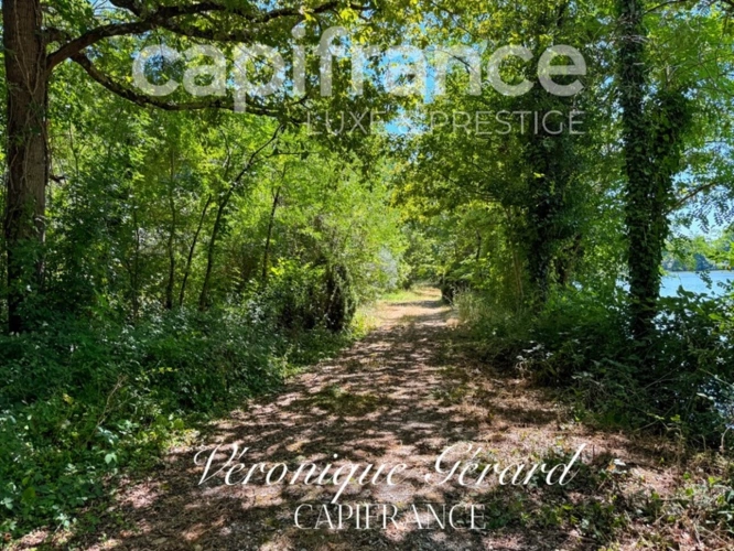 Photos 39 - Forestière - Propriété Naturel de Loisirs avec Maison d'habitation ,Chalets et Lac sur plus de 7 hectares entièrement clos