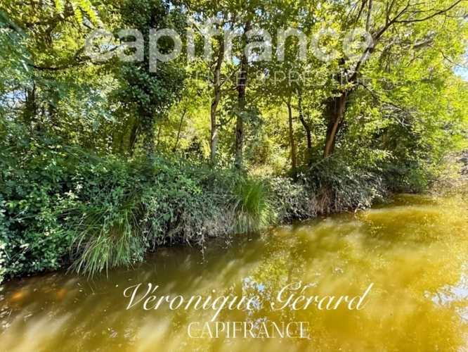 Photos 40 - Forestière - Propriété Naturel de Loisirs avec Maison d'habitation ,Chalets et Lac sur plus de 7 hectares entièrement clos