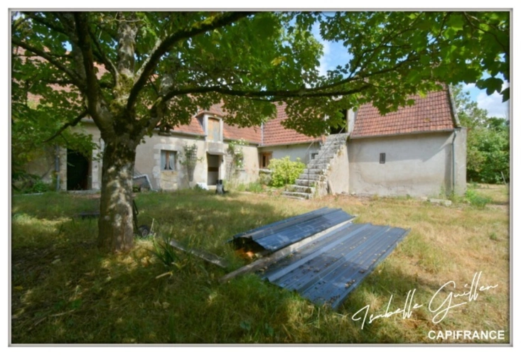 Photos 40 - Touristique - Propriete à vendre 8 pièces TOUCHAY (18)