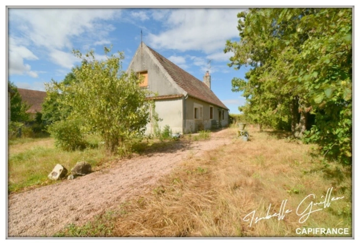 Photos 44 - Touristique - Propriete à vendre 8 pièces TOUCHAY (18)