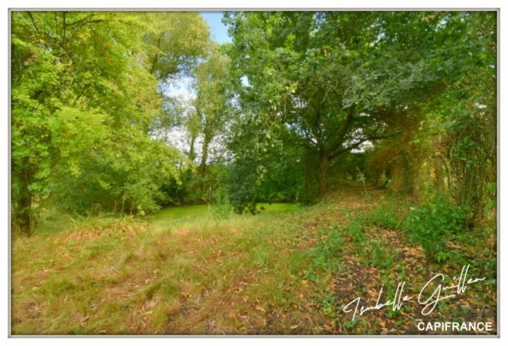 Photos 45 - Touristique - Propriete à vendre 8 pièces TOUCHAY (18)