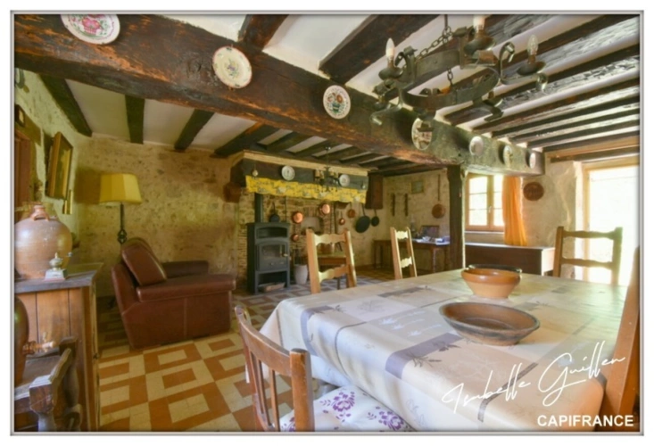 Photos 11 - Touristique - Propriete à vendre 8 pièces TOUCHAY (18)