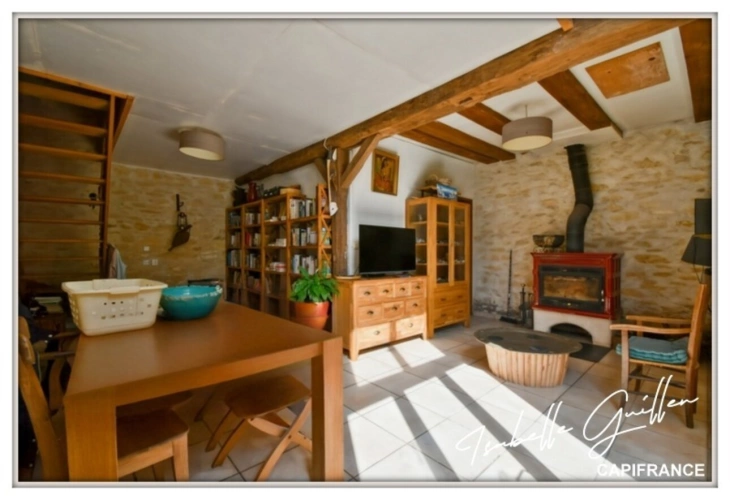 Photos 18 - Touristique - Propriete à vendre 8 pièces TOUCHAY (18)