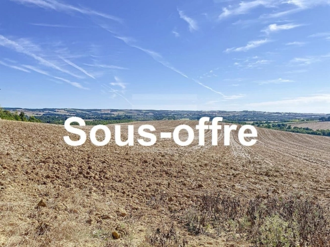Photos 1 - Foncière - Terrain agricole