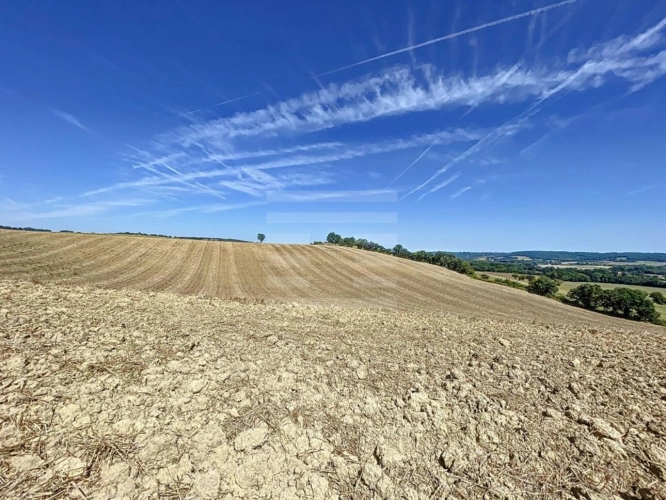 Photos 2 - Foncière - Terrain agricole