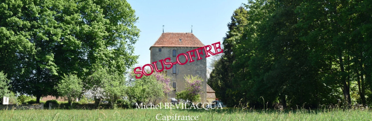Photos 1 - Prestige - Propriete à vendre le Château d'OUROUER à OUROUER LES BOURDELINS (18) avec dépendances sur plus d'un hectare