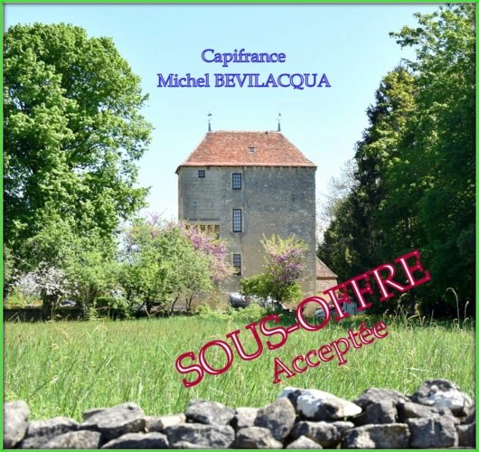 Photos 2 - Prestige - Propriete à vendre le Château d'OUROUER à OUROUER LES BOURDELINS (18) avec dépendances sur plus d'un hectare