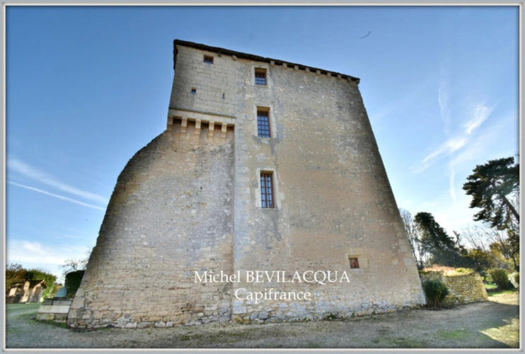 Photos 3 - Prestige - Propriete à vendre le Château d'OUROUER à OUROUER LES BOURDELINS (18) avec dépendances sur plus d'un hectare