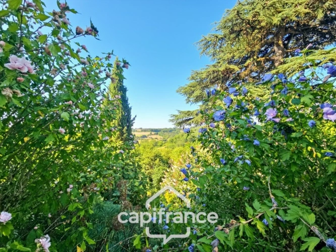 Photos 12 - Touristique - Domaine de charme, 4 hectares, 470 m² habitable, 20 couchages, roulotte, piscine, parc avec arbres centenaires