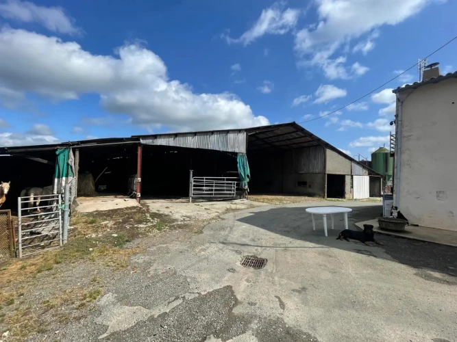 Photos 4 - Agricole - Ferme avec bâtiments d’élevage – Idéal projet équestre sur 36 ha – Proche Saint-Maixent-l’École (79)