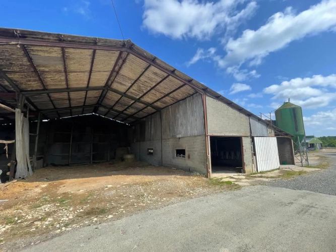 Photos 5 - Agricole - Ferme avec bâtiments d’élevage – Idéal projet équestre sur 36 ha – Proche Saint-Maixent-l’École (79)