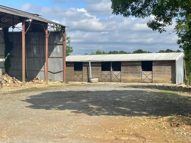 Photos 6 - Agricole - Ferme avec bâtiments d’élevage – Idéal projet équestre sur 36 ha – Proche Saint-Maixent-l’École (79)