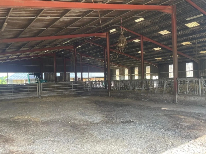Photos 7 - Agricole - Ferme avec bâtiments d’élevage – Idéal projet équestre sur 36 ha – Proche Saint-Maixent-l’École (79)