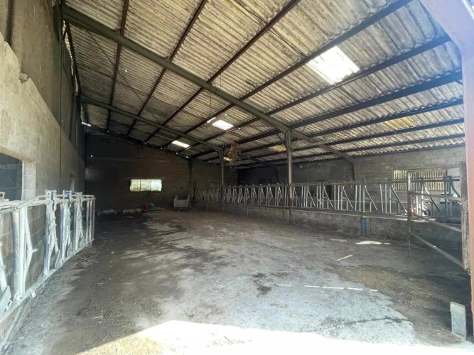 Photos 8 - Agricole - Ferme avec bâtiments d’élevage – Idéal projet équestre sur 36 ha – Proche Saint-Maixent-l’École (79)