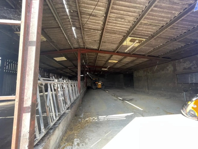 Photos 9 - Agricole - Ferme avec bâtiments d’élevage – Idéal projet équestre sur 36 ha – Proche Saint-Maixent-l’École (79)
