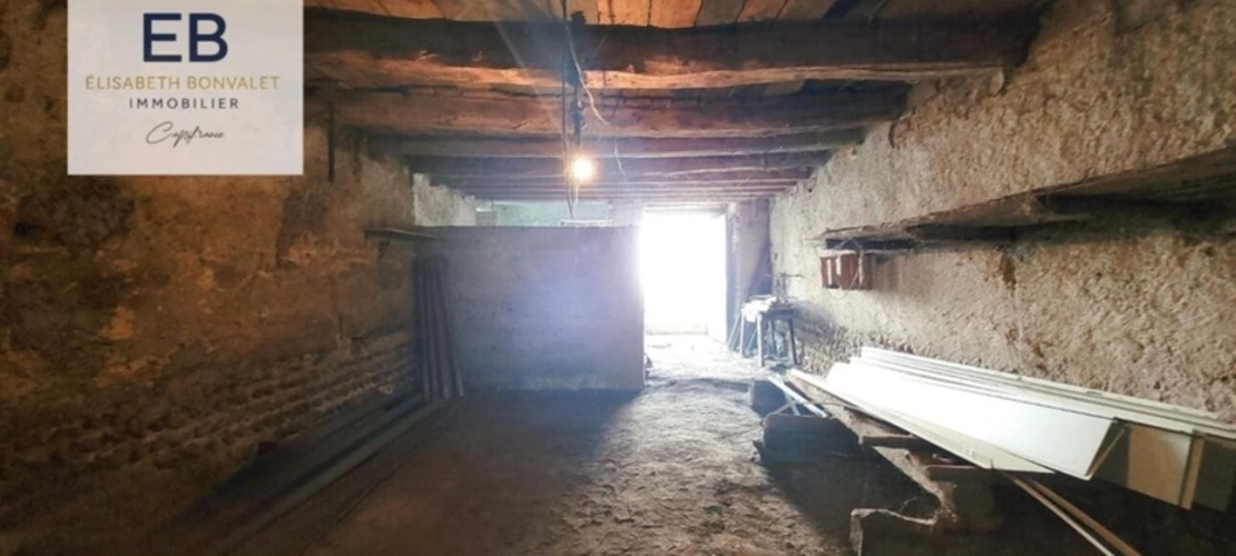 Photos 21 - Touristique - A vendre - Corps de ferme au charme rustique avec un fort potentiel de division - Saint-Laurent-De-Mûre