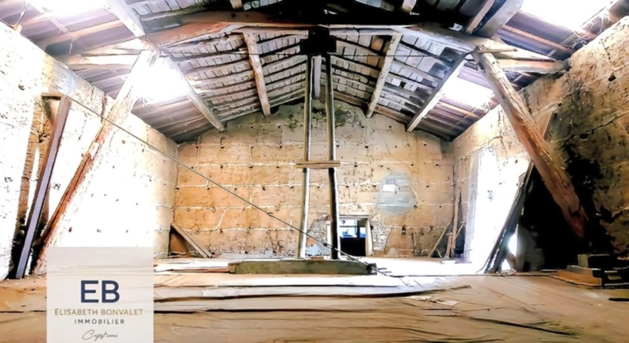 Photos 26 - Touristique - A vendre - Corps de ferme au charme rustique avec un fort potentiel de division - Saint-Laurent-De-Mûre