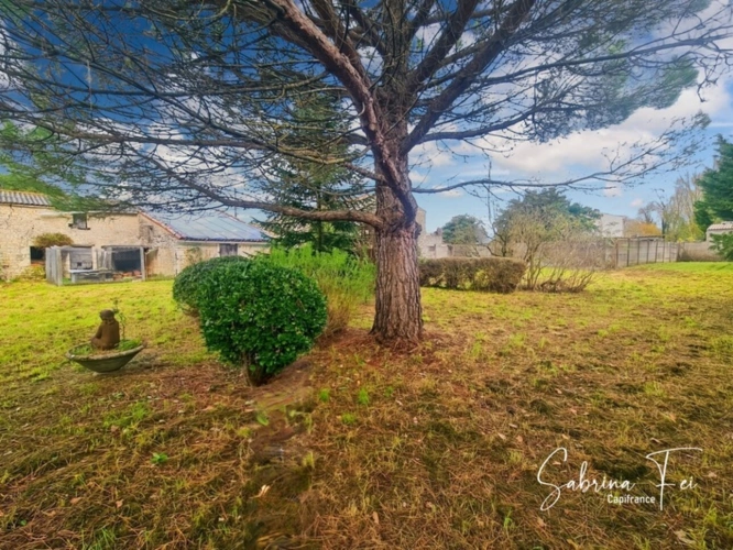 Photos 5 - Touristique - Propriété à vendre 7 pièces SAINT MEDARD D'AUNIS (17)