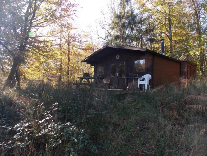 Photos 8 - Foncière - Etang