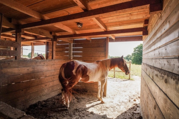 Photos 1 - Équestre - Maison à vendre 8 pièces proche de VONNAS (01)