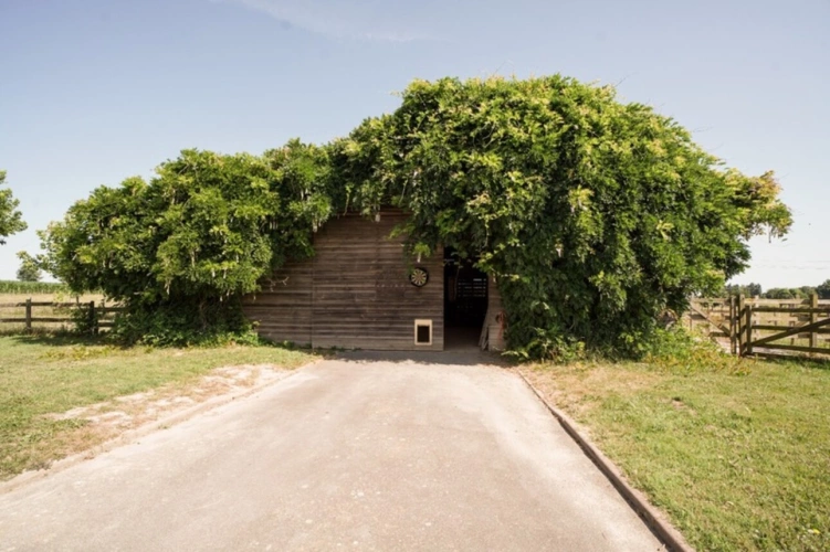 Photos 8 - Équestre - Maison à vendre 8 pièces proche de VONNAS (01)