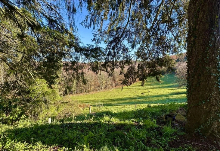 Photos 9 - Prestige - Ferme