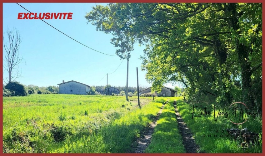 Photos 1 - Équestre - PROPRIETE agricole avec 10.5Ha